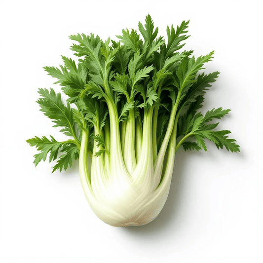 fänkål - featured image