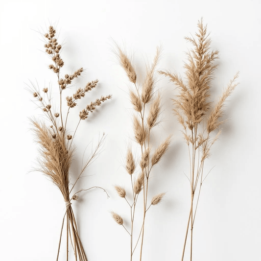 dri - featured image