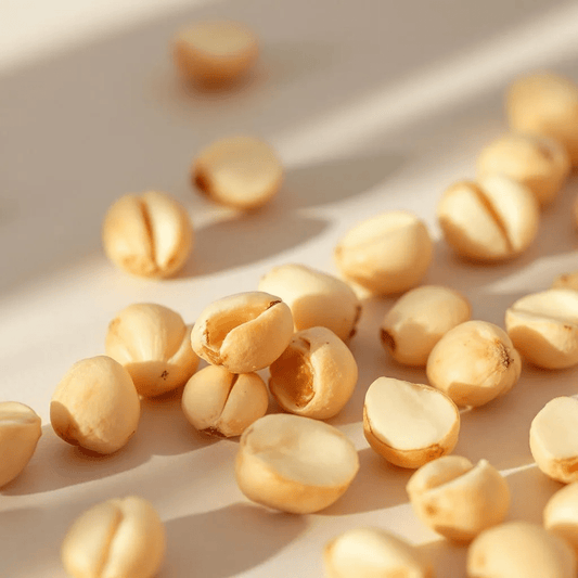 macadamia nuts - featured image