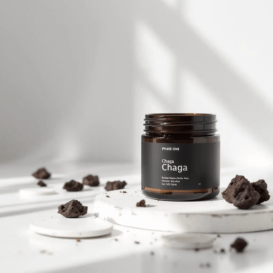 chaga - featured image