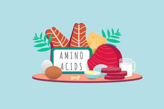 Illustration of various foods rich in amino acids including meat, eggs, cheese, and milk.