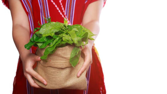 Person holding a burlap sack filled with fresh green spinach, emphasizing natural health benefits.