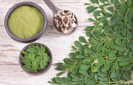Yaeyama Chlorella powder and fresh leaves in bowls on a wooden surface, highlighting its natural health benefits.