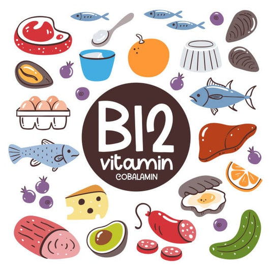 Illustration of various foods rich in Vitamin B12 including fish, meat, dairy, and eggs.