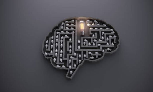 Graphic of a brain designed as a maze with a lightbulb, symbolizing cognitive exploration and mental clarity.