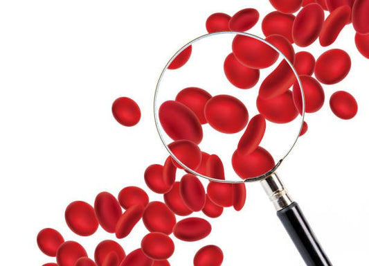 Förstoring av röda blodkroppar genom en förstoringsglas, symboliserar järn och hemoglobin.