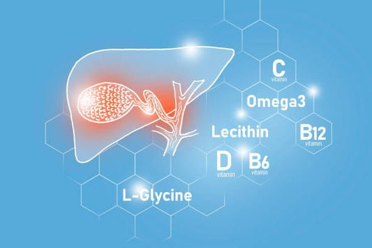 Illustration of L-Glycine's role in liver health with vitamins and nutrients listed on a blue background.