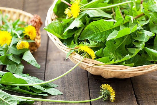 Fräscha maskrosblad och blommor i en korg på en träyta, symboliserar naturliga hälsofördelar.