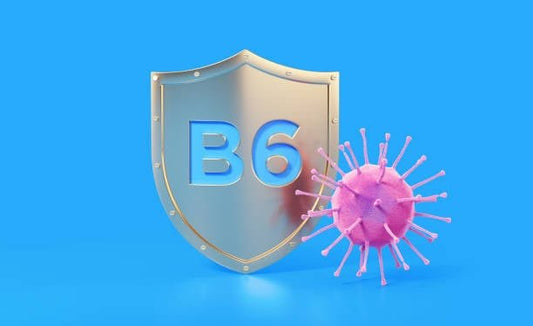 Shield symbol with 'B6' and a pink virus, representing vitamin B6's role in immune health.