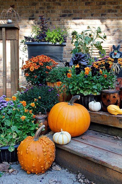 Colorful autumn scene with pumpkins and vibrant flowers on rustic wooden steps.