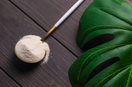 Spoon of collagen powder beside a green leaf on a wooden surface.