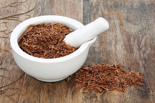Catuaba bark powder in a white mortar and pestle, highlighting its natural benefits.