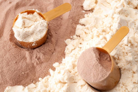 Två måttskopor med kasein och vassleproteinpulver på en yta av proteinpulver.