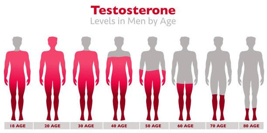 Visual representation of testosterone levels in men at different ages from 18 to 80.