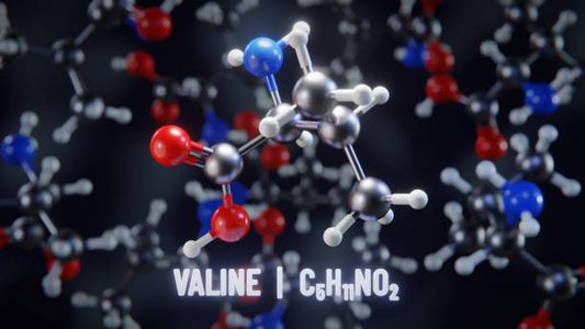 Molecule structure of L-valine with chemical formula C6H13NO2, showcasing its atomic composition.