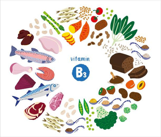 Illustration of various foods rich in vitamin B3 (niacin), including fish, meat, grains, and vegetables.