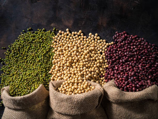 Three burlap sacks containing green mung beans, yellow soybeans, and red kidney beans on a dark background.
