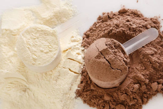 Vassleprotein och växtbaserat proteinpulver i skopor på vit bakgrund.