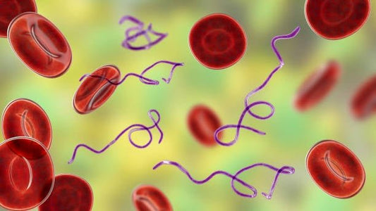 Illustration of red blood cells and purple strands, highlighting effects related to vitamin B12 deficiency.