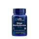 Mega Benfotiamine – Avancerad B1-vitamin framsida