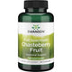 Swanson Full Spectrum Chasteberry Fruit 120 Caps framsida