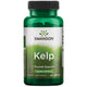 Kelp – Joddatum från tång framsida