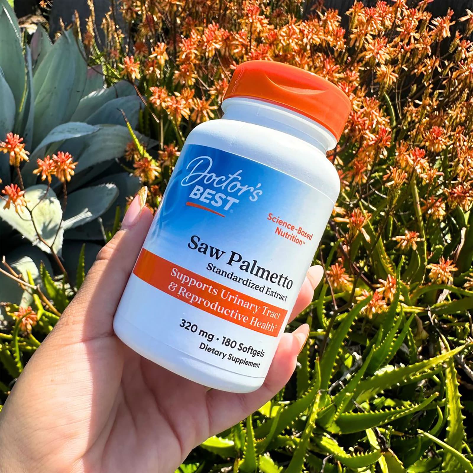 Doctor's Best - Saw Palmetto Standardiseret Ekstrakt, 320mg - 60 Kapsler