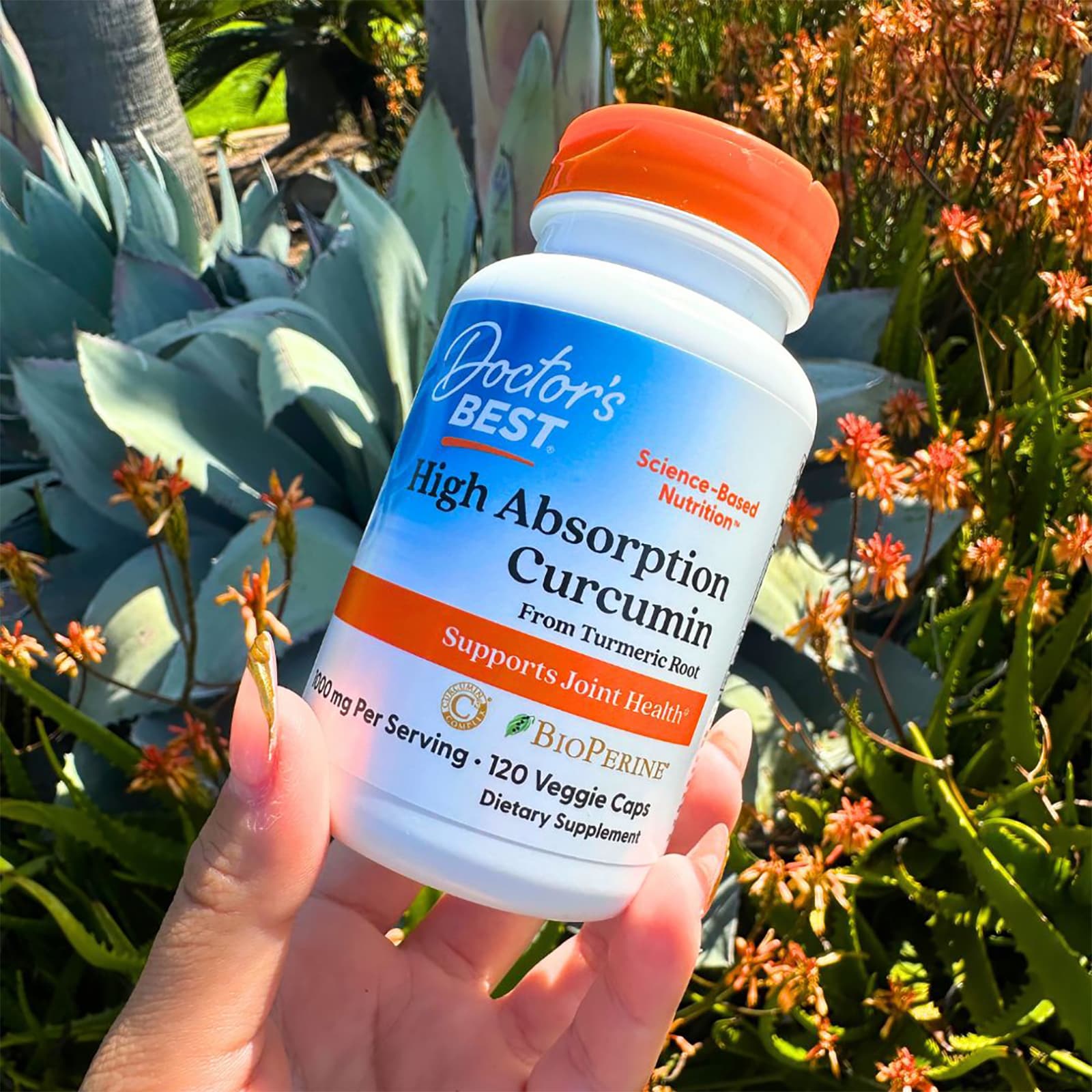 Doctor's Best - Curcumin