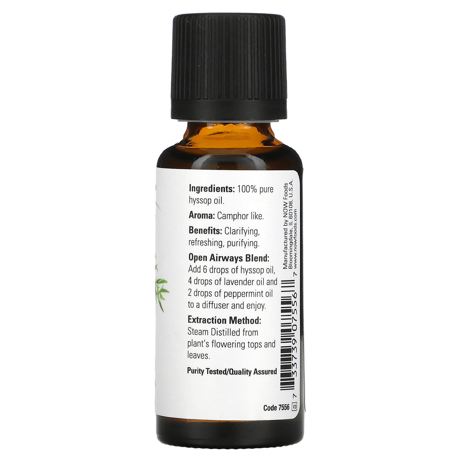 Hyssop Oil ingredienser och användning