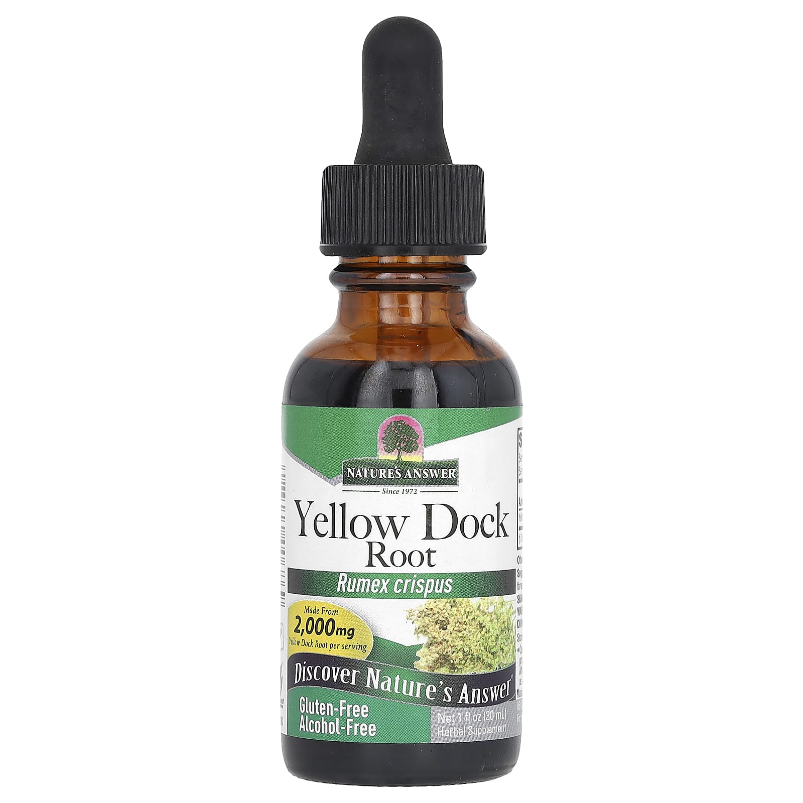 Yellow Dock Root Extrakt – Alkoholfritt växtbaserat – Nutri.se