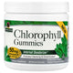 Nature's Answer Chlorophyll Gummies framsida