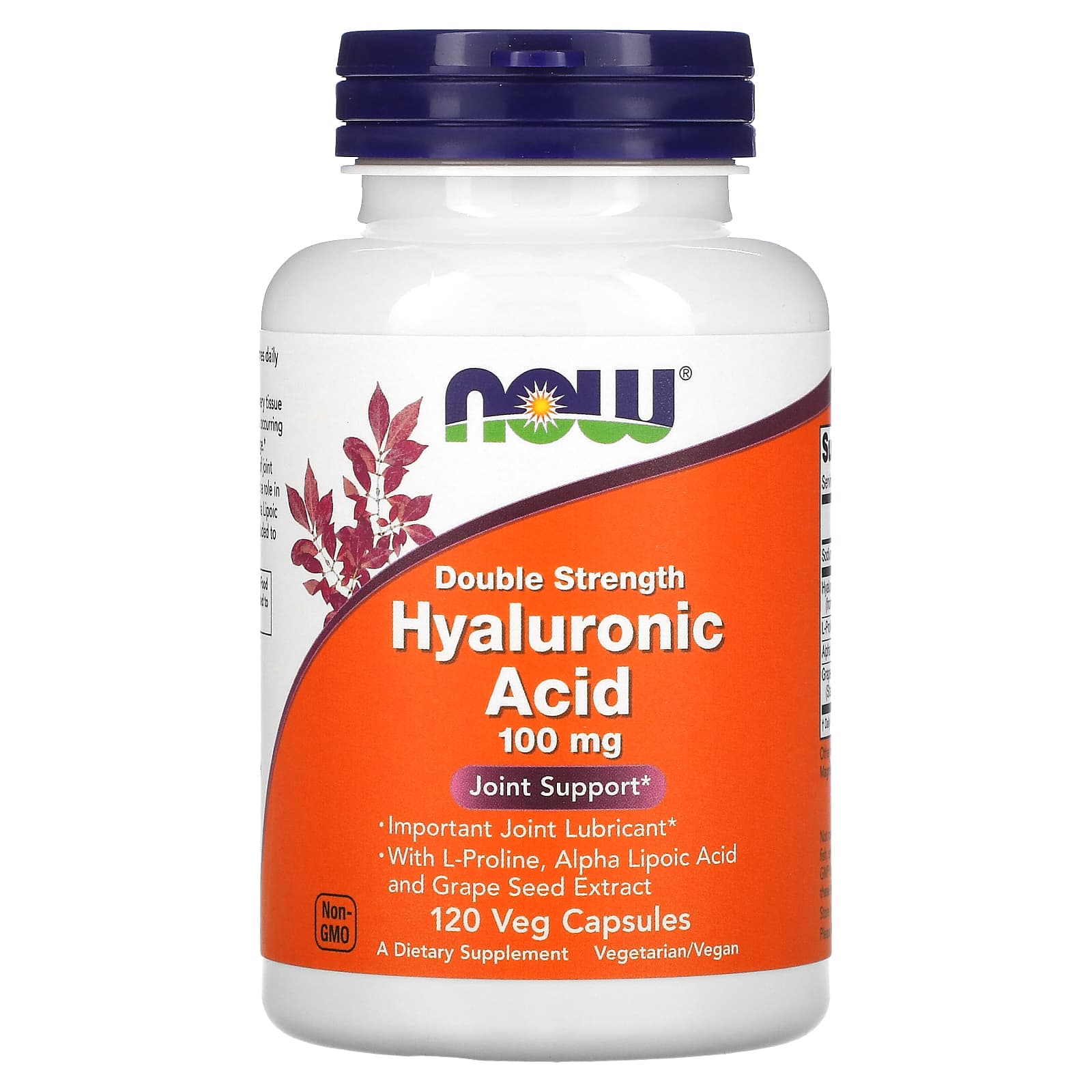 NOW Foods - Hyaluronihappo, 100mg Kaksoisvoima