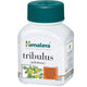 Himalaya - Tribulus