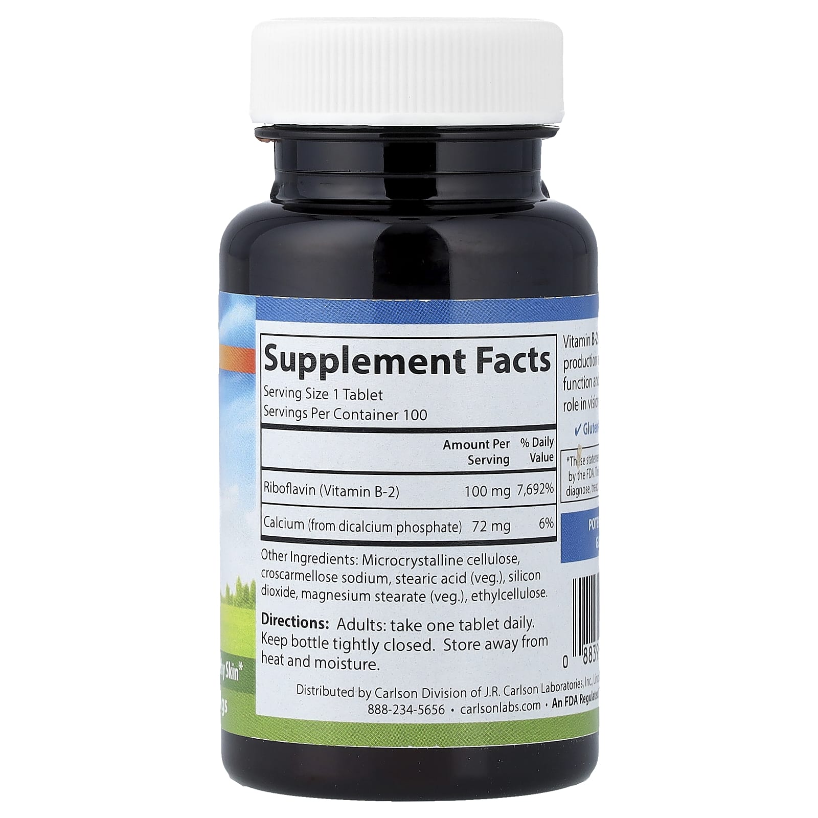 Vitamin B-2 100 mg ingredienslista