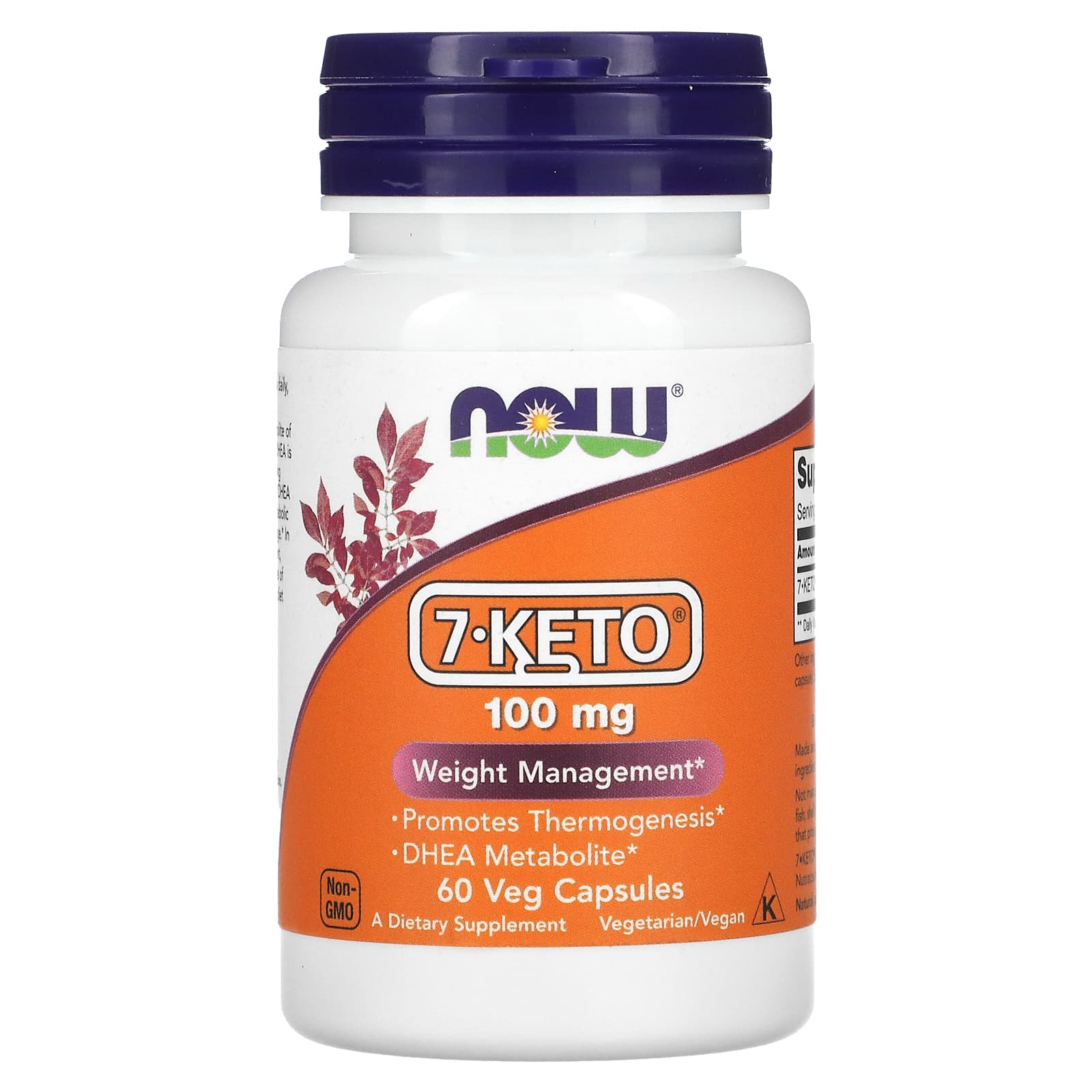 NOW Foods 7-KETO 100mg flaskframsida