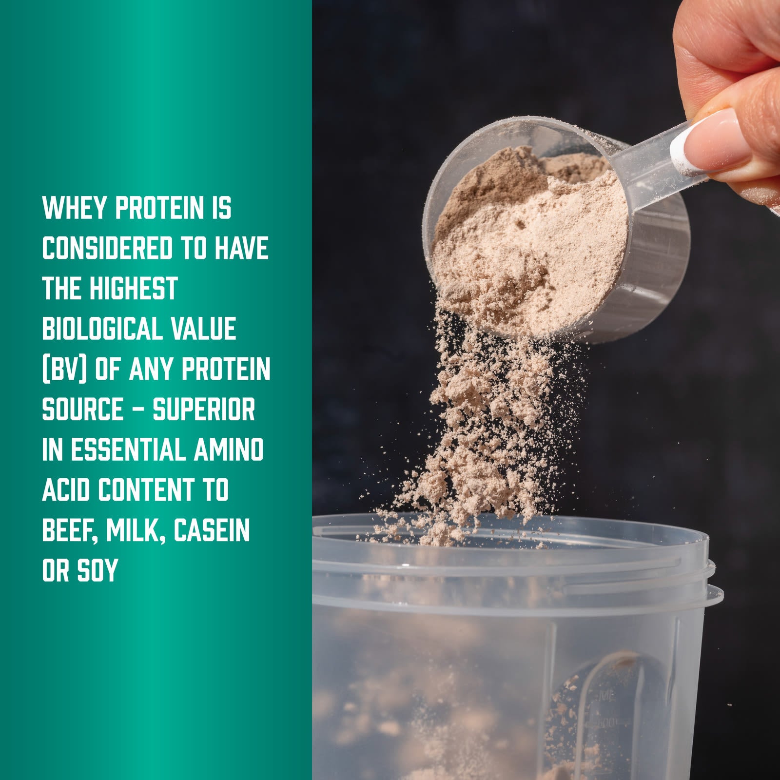 NOW Foods - Whey Protein Isolate
