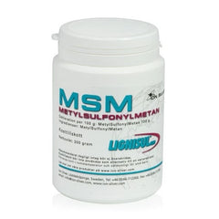 Ion Silver - Lignisul MSM - Joint Support