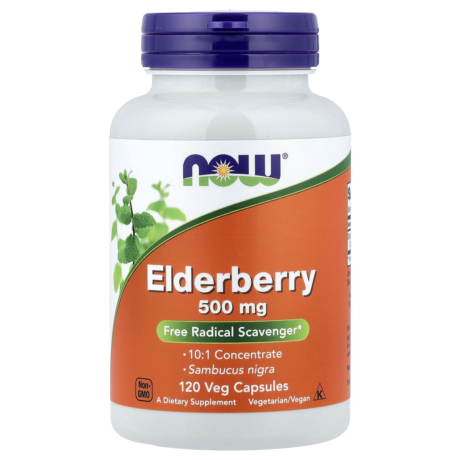 Elderberry 500mg – 120 kapslar baksida