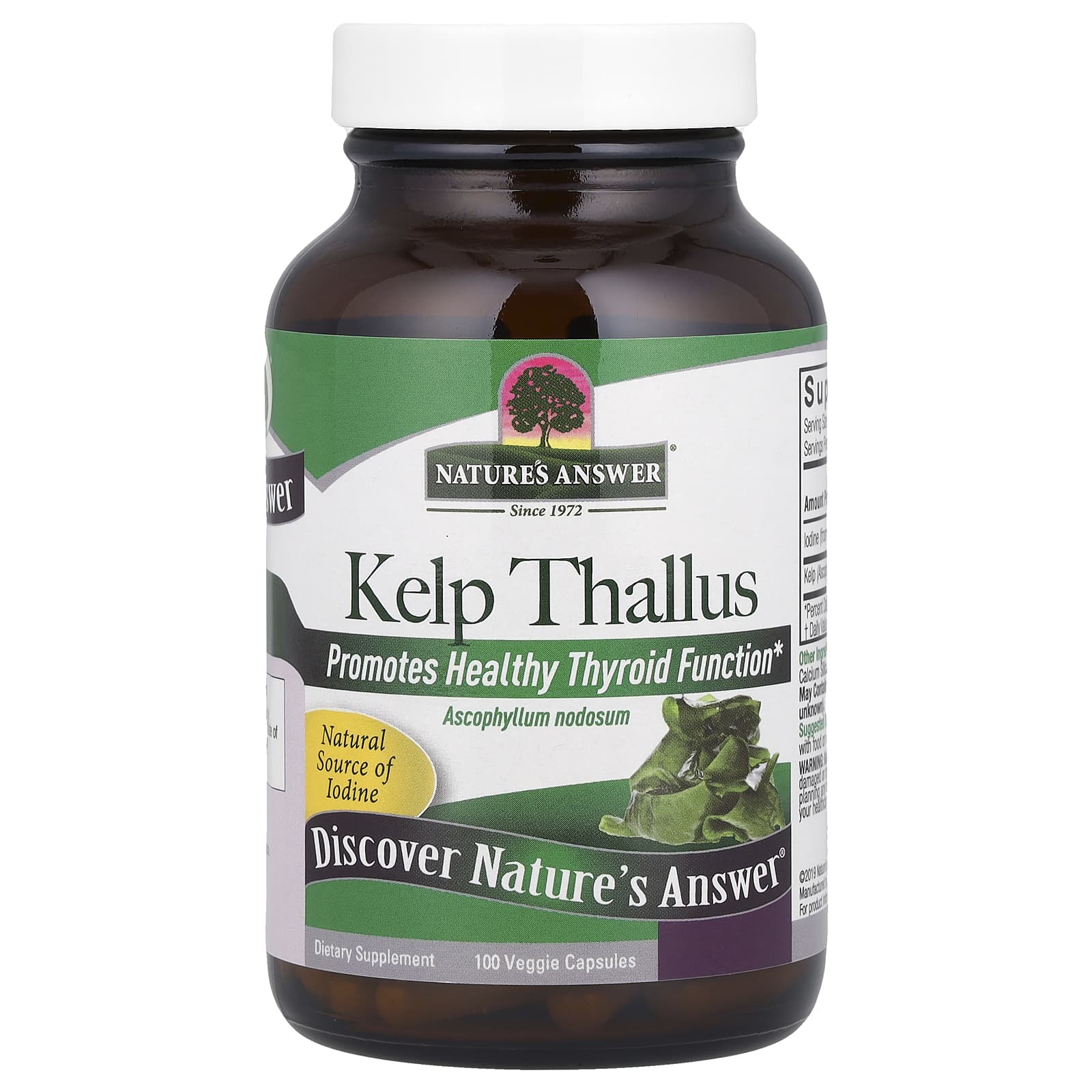 Nature's Answer Kelp Thallus ingredienser