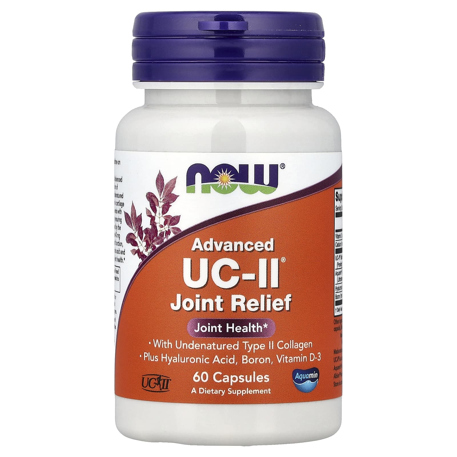 Advanced UC-II Joint Relief – 60 kapslar baksida