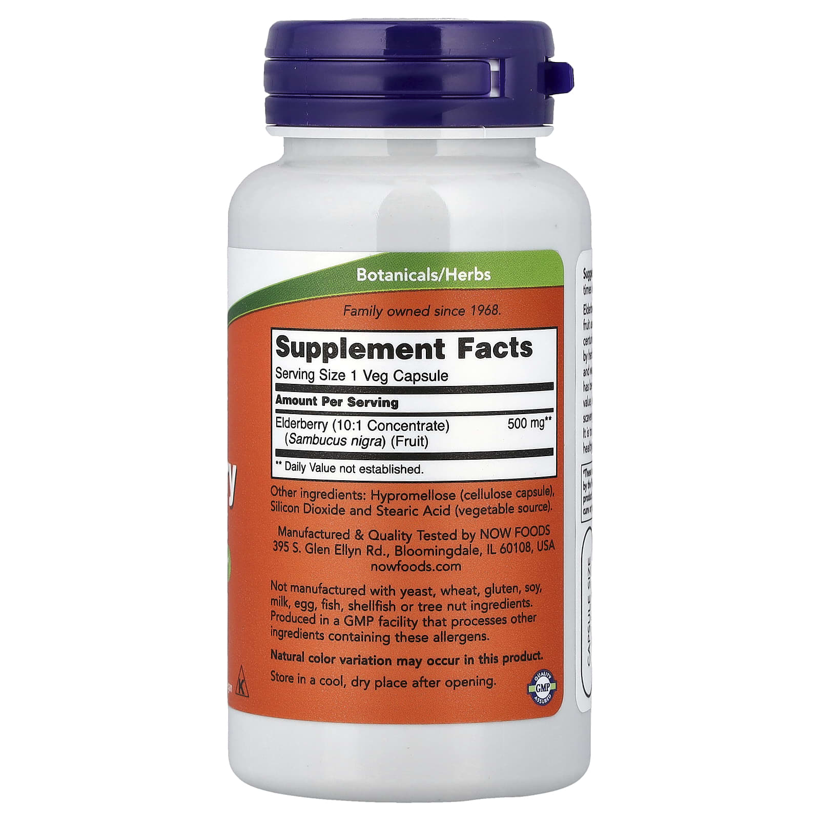 Now Foods - Elderberry - Immune Support