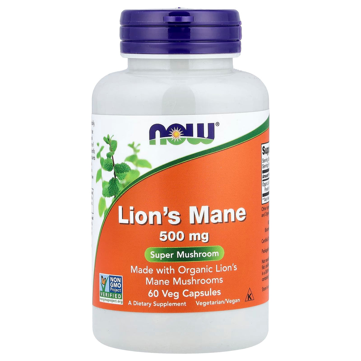 Lion's Mane – Lövinmanextrakt 500 mg baksida