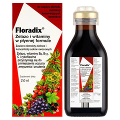Floradix Iron And Vitamins Liquid Formula framsida