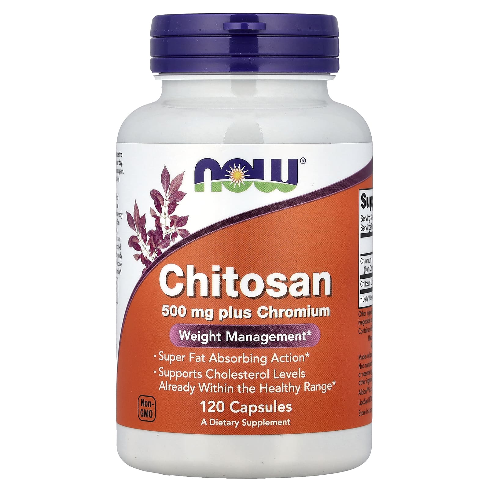 Chitosan 500 mg plus Chromium framsida