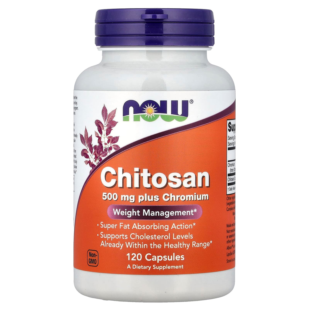 Chitosan 500 mg plus Chromium framsida