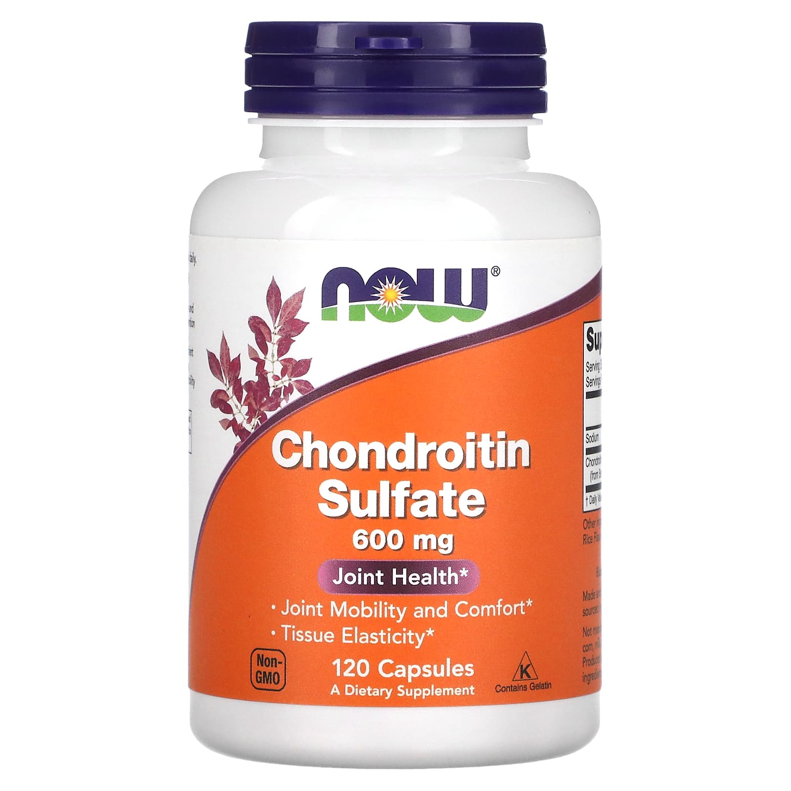 Chondroitin Sulfate 500 mg baksida