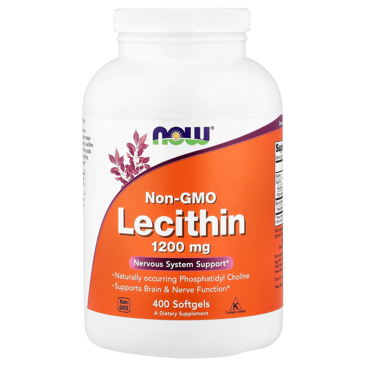 Lecithin – Naturlig fosfolipidkomplex framsida