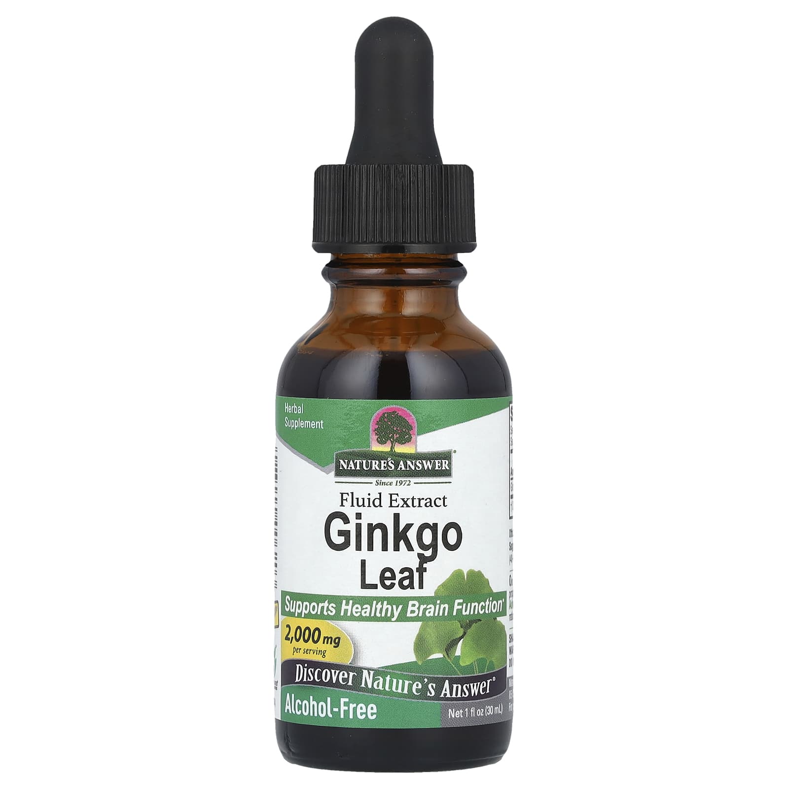 Nature'S Answer - Ginkgo-lehti 2000mg
