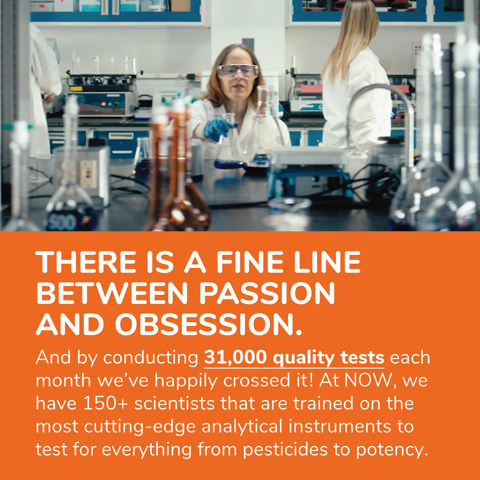 NOW Foods - Astragalus