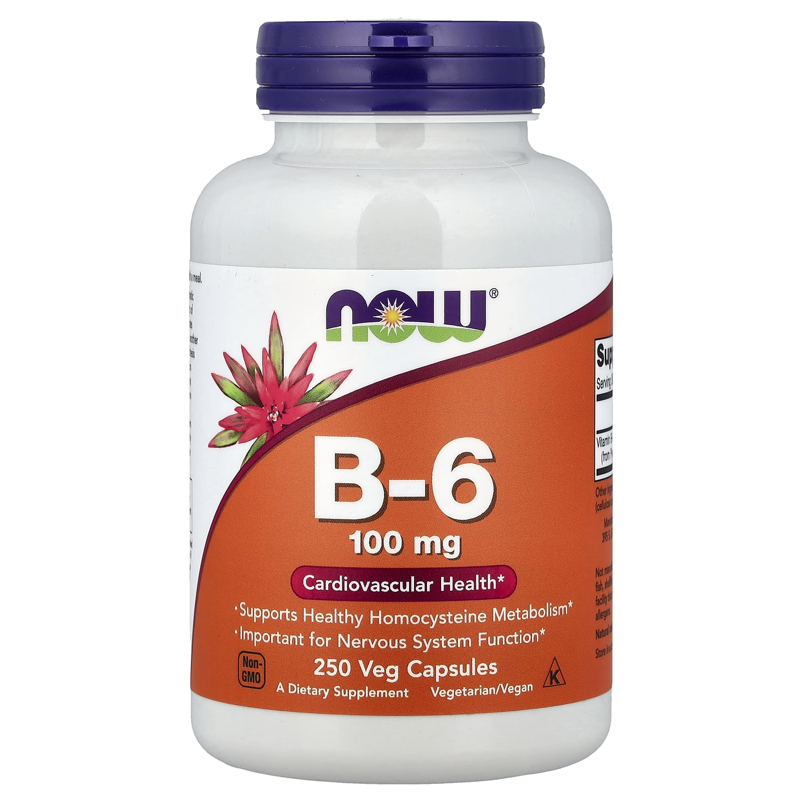 Now Foods - B-6-vitamiini